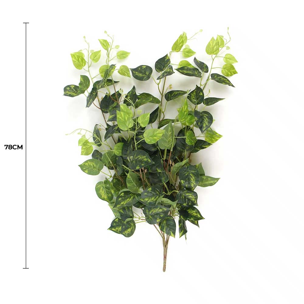 Heart Leaf Philodendron Hanging Creeper Bush (Devils Ivy) 78cm