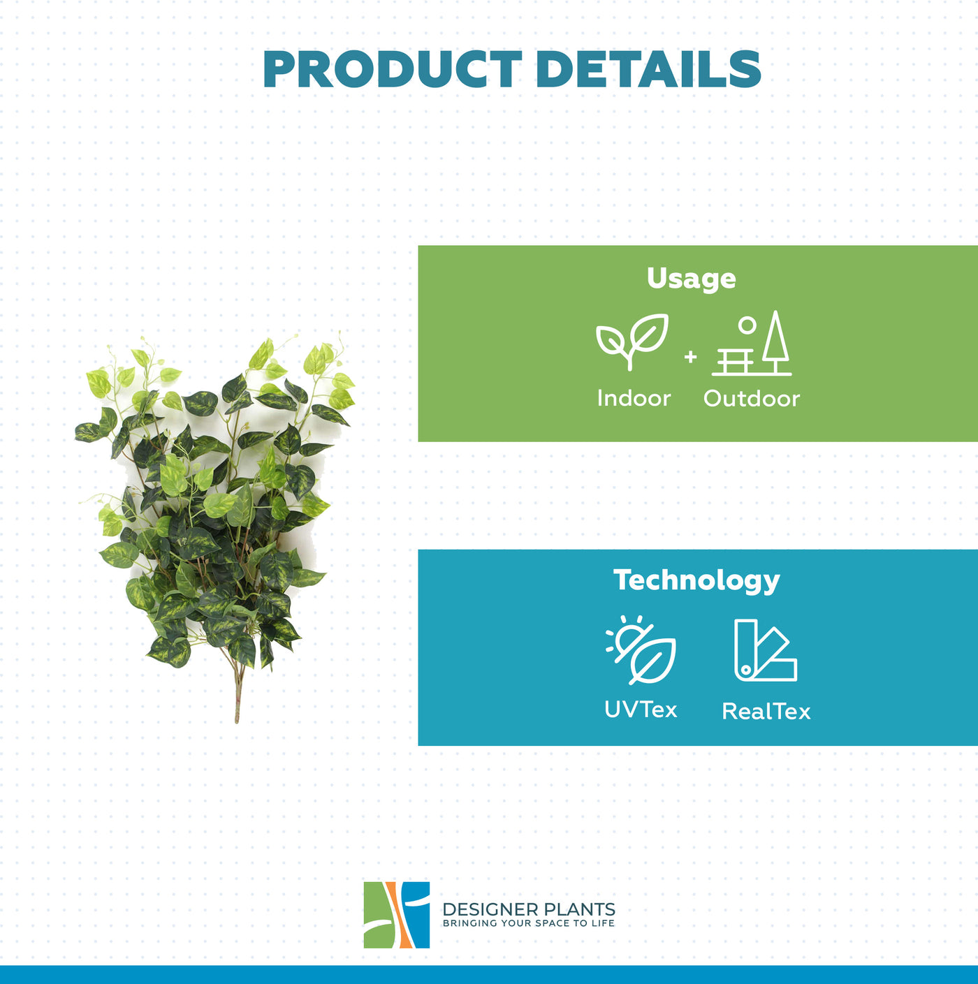Heart Leaf Philodendron Hanging Creeper Bush (Devils Ivy) 78cm
