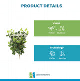 Heart Leaf Philodendron Hanging Creeper Bush (Devils Ivy) 78cm