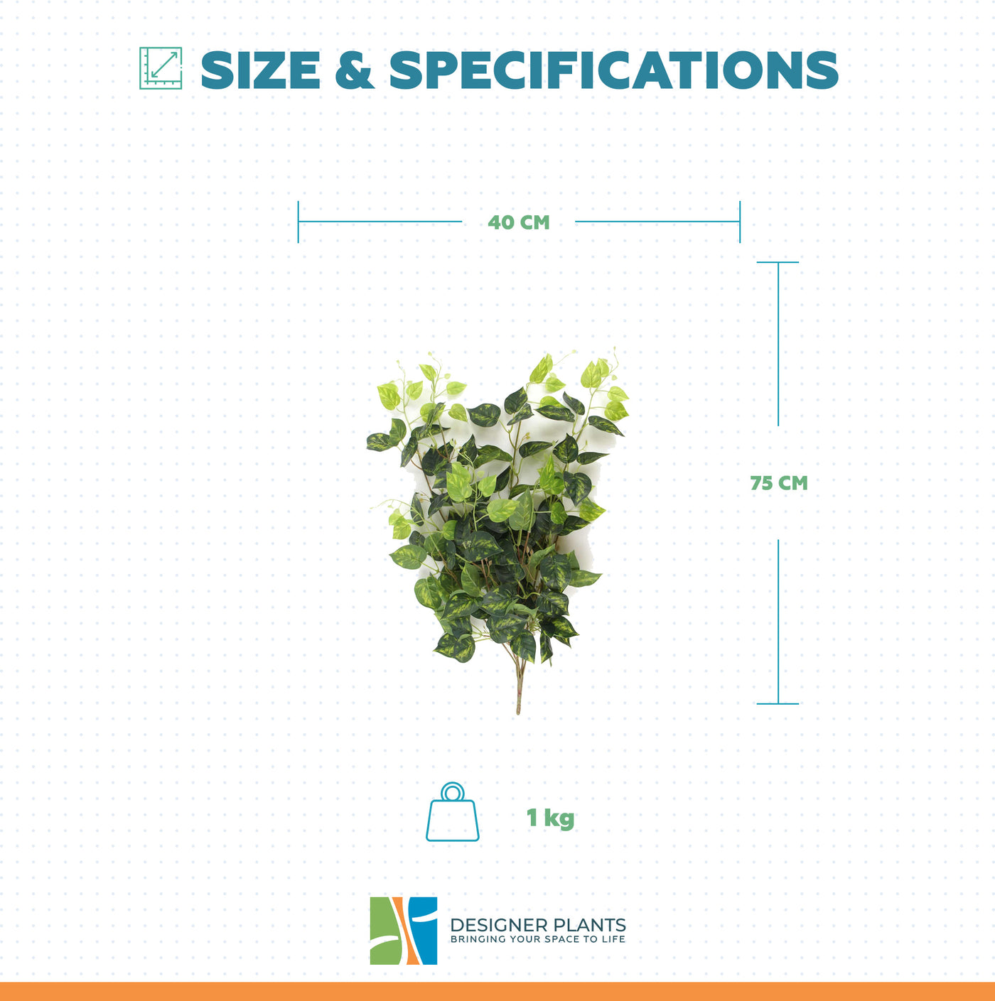 Heart Leaf Philodendron Hanging Creeper Bush (Devils Ivy) 78cm
