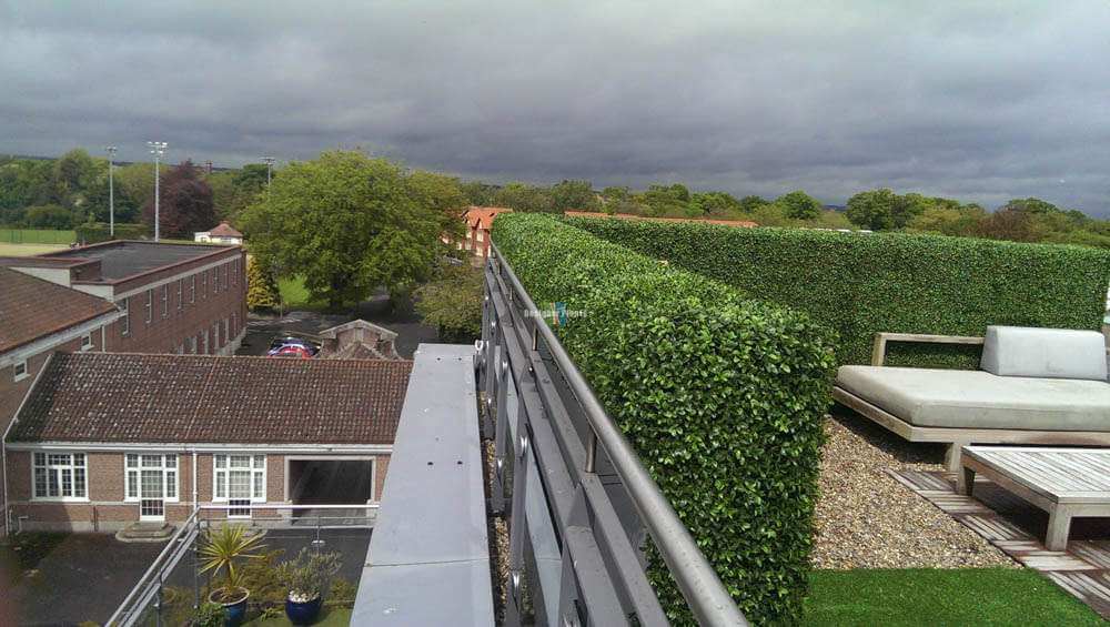 Boxwood Hedge Leaf Screens / Panels UV Resistant SAMPLE