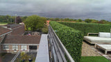 Boxwood Hedge Leaf Screens / Panels UV Resistant SAMPLE