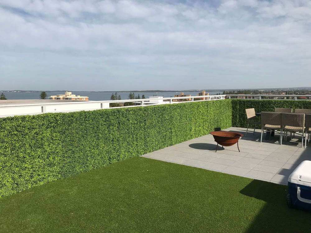 Mixed Boxwood Hedge UV Resistant 100cm Long x 100cm High