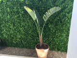 Green Tropics UV Resistant Vertical Garden Premium Sample