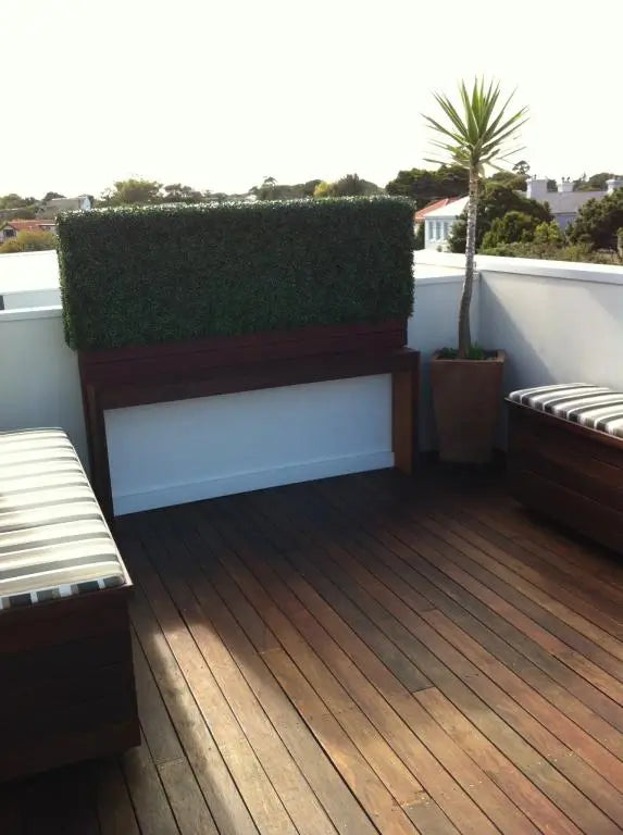 Box wood hedges add height and security for pets and children.