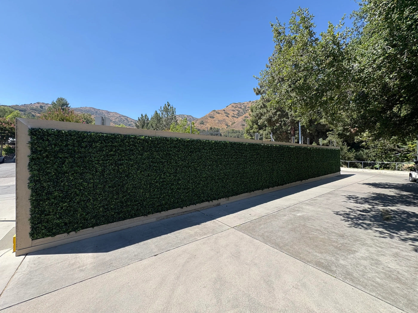 Boxwood Hedge Screen Green Wall Panel UV Resistant 100cm x 100cm