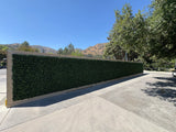 Boxwood Hedge Screen Green Wall Panel UV Resistant 100cm x 100cm
