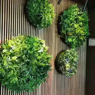 Four round green potted plants arranged on a slatted wooden wall, with dense leafy greenery filling the circular planters.