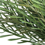 Native Tea Tree Stem UV Resistant 40cm