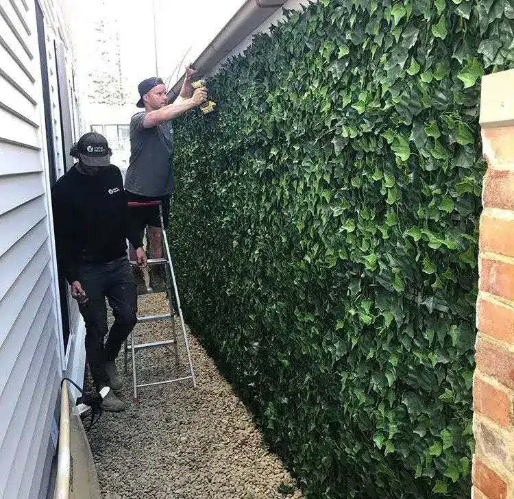 Side fence / wall after fake ivy panels were installed