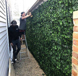 Boston Ivy Leaf Screen Green Wall Panel UV Resistant 1m x 1m