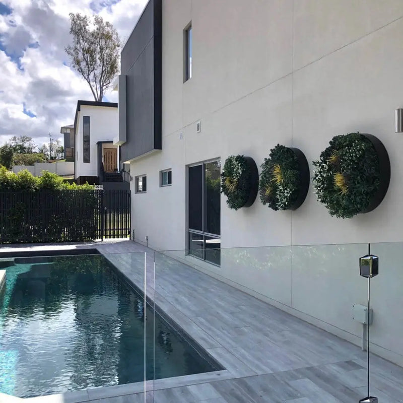 Pool Area UV Green Wall Disc Installation