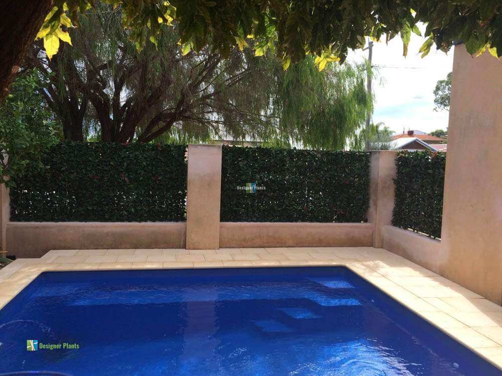 Photinia (Red Robin) Hedge Leaf Screens / Panels UV Resistant SAMPLE