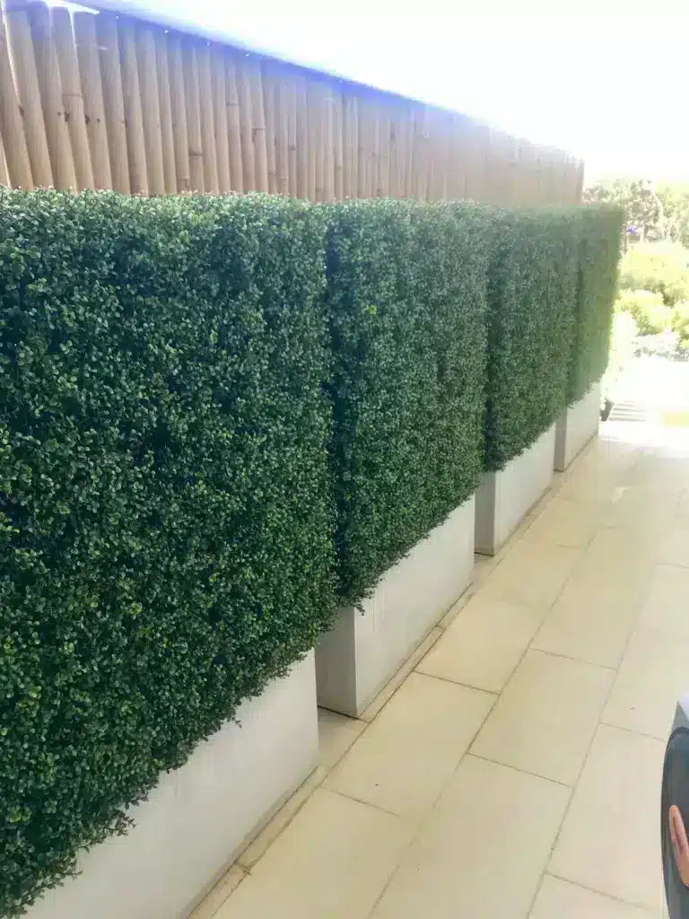 Fake buxus hedges in planters