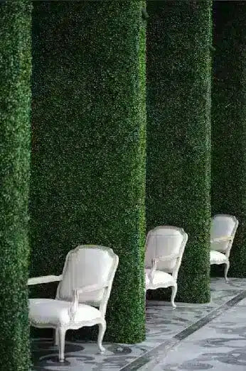 Regain your privacy with boxwood hedges