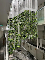 Ivy Garland Vines 260cm Each - 5 Per Pack