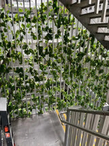 Ivy Garland Vines 260cm Each - 5 Per Pack
