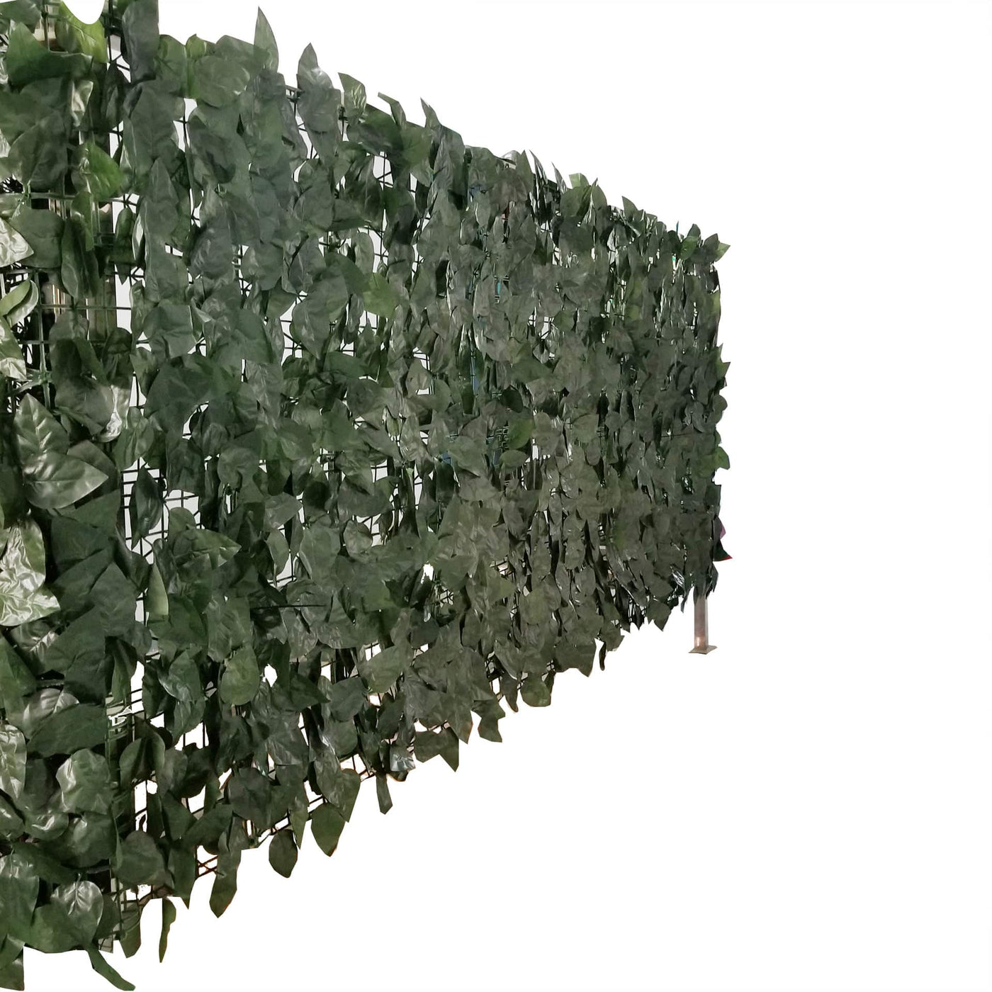 Artificial Ivy Leaf Hedging 3m x 1m Roll