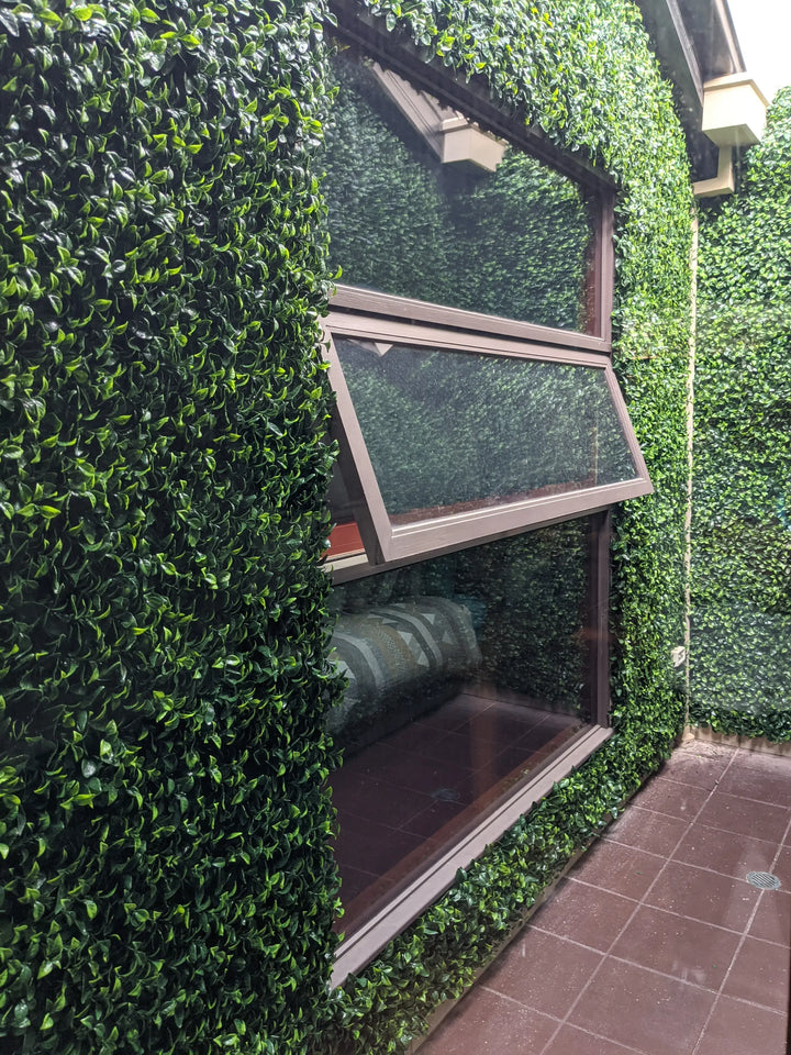 A modern window with dark brown frames set into a dense green artificial hedge wall, with a tiled walkway visible in the lower right corner.
