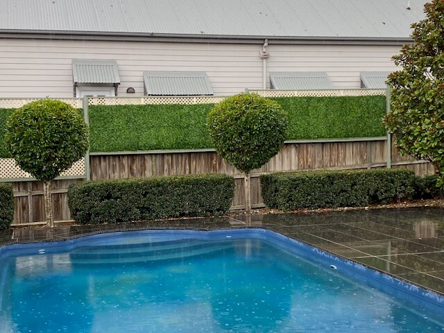 Jasmine Hedge Screen Green Wall Panel UV Resistant 100cm x 100cm