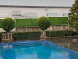 Jasmine Hedge Screen Green Wall Panel UV Resistant 100cm x 100cm