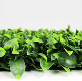 Jasmine Hedge Leaf Screens / Panels UV Resistant SAMPLE