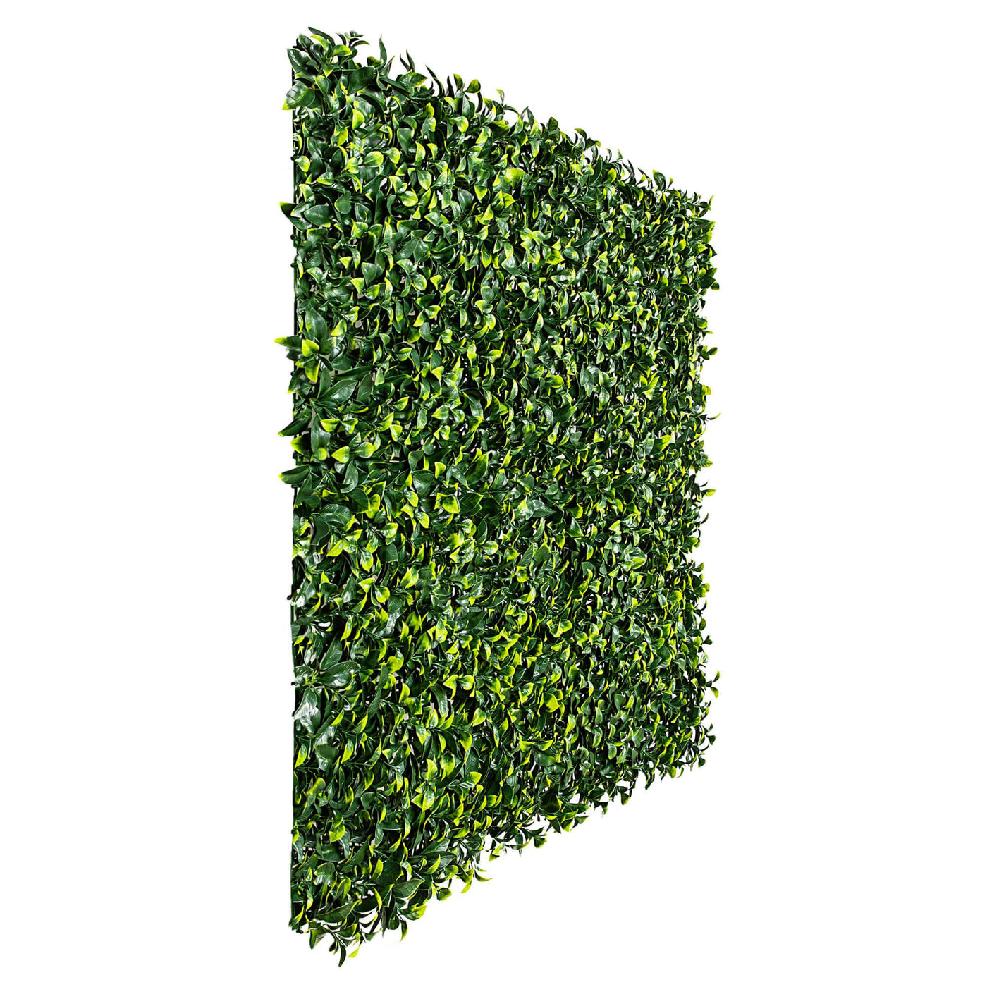 Jasmine Hedge Leaf Screens / Panels UV Resistant SAMPLE