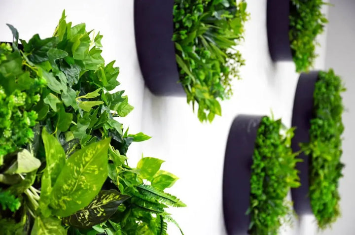 Green plants in black pots arranged in a circular pattern on a white background