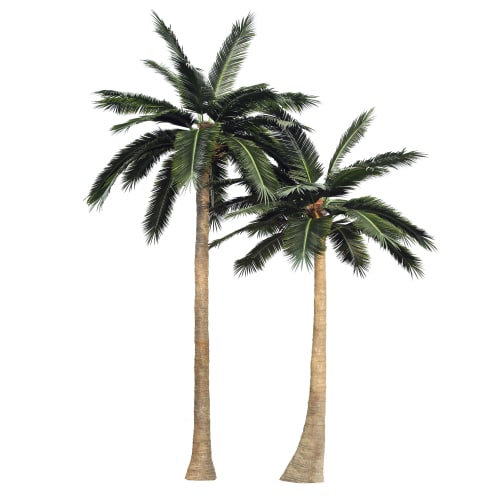 Tall Artificial Coconut Palm Tree (4m to 7m) UV Resistant - Designer Plants