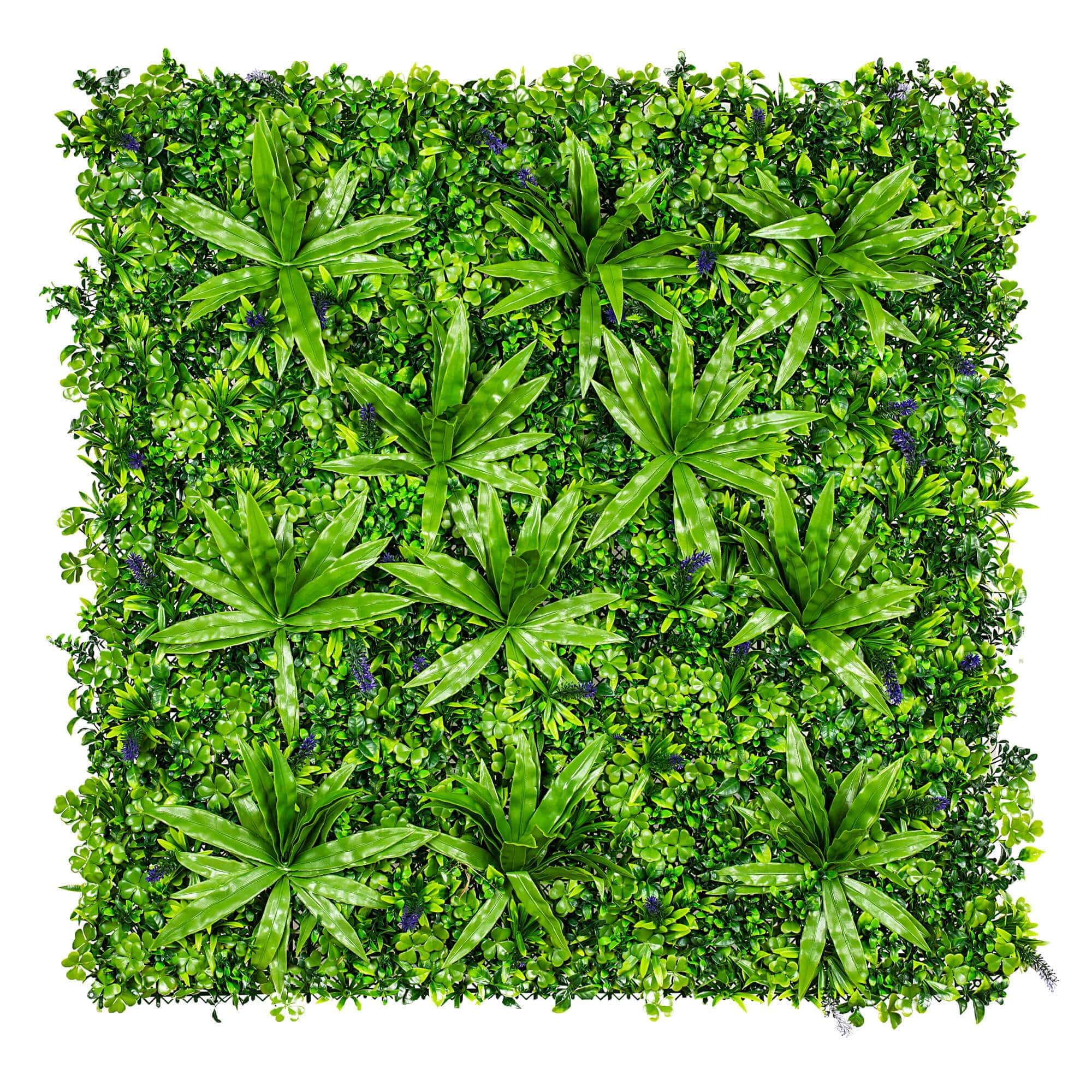 Lavandula Vertical Garden / Green Wall UV Resistant SAMPLE - Designer Plants