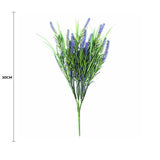 Long Stem Purple Lavender Plant 50cm UV Resistant
