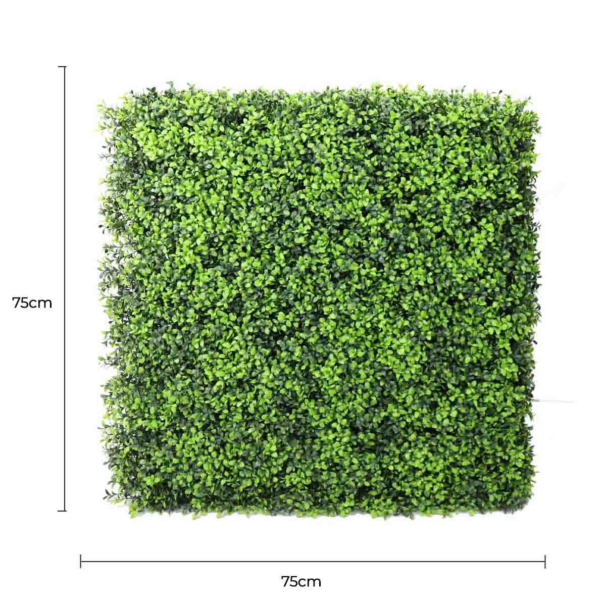 Luxury Deluxe Portable Buxus (Bright) Hedge UV Resistant 75cm x 75cm