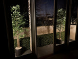 Luxury Deluxe Portable Buxus (Bright) UV Resistant 100cm Long x 50cm High, featuring dense, lush green artificial buxus foliage in a sleek black planter, displayed outdoors in a landscaped garden setting.