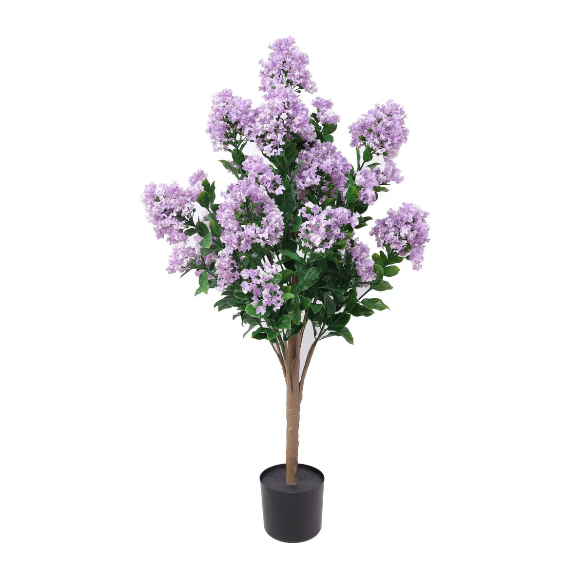 Flowering Lilac Crepe Myrtle Tree 90cm UV Resistant - Designer Plants