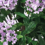 Flowering Lilac Crepe Myrtle Tree 120cm UV Resistant