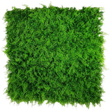 Mediterranean Fern Vertical Garden / Green Wall UV Resistant 1m x 1m - Designer Plants