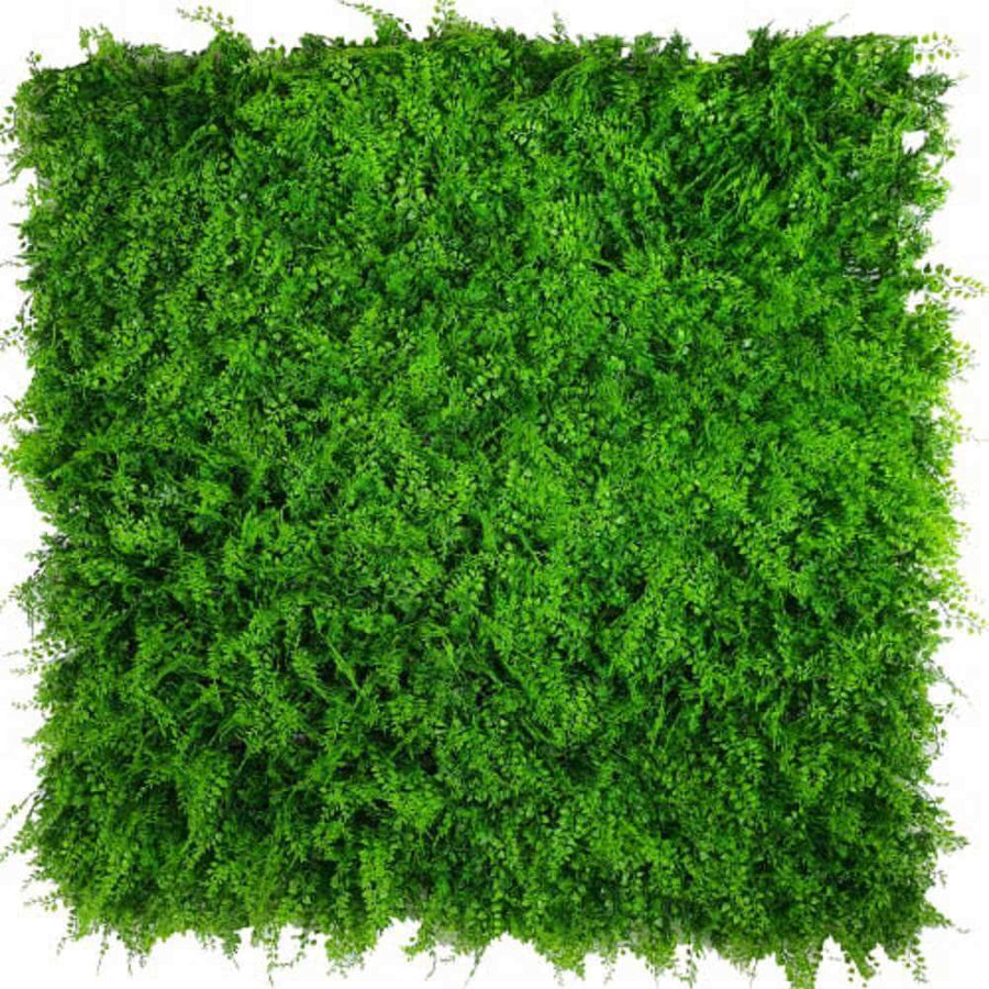 Mediterranean Fern Vertical Garden / Green Wall UV Resistant SAMPLE - Designer Plants