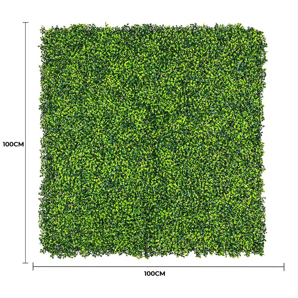 Mixed Boxwood Hedge Panels / Screens UV Resistant 1m x 1m