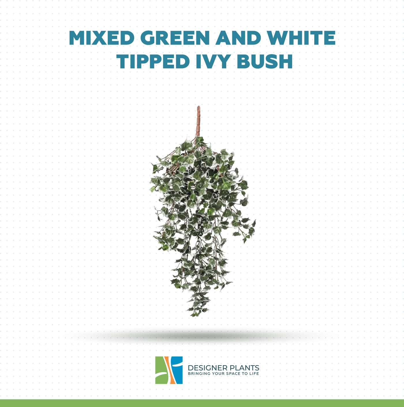 Mixed Green and White Tipped Ivy Bush 80cm UV Resistant