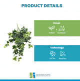Mixed Green and White Tipped Ivy Bush 100cm