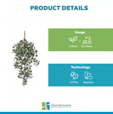 Mixed Green and White Tipped Ivy Bush 80cm UV Resistant