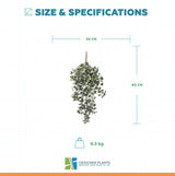 Mixed Green and White Tipped Ivy Bush 80cm UV Resistant