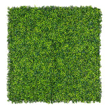 Mixed Boxwood Hedge Panels / Screens UV Resistant 1m x 1m - Designer Plants