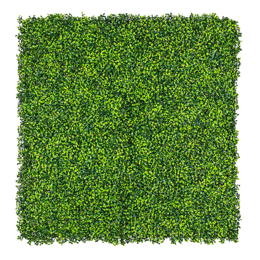 Mixed Boxwood Hedge Panels / Screens UV Resistant 1m x 1m - Designer Plants