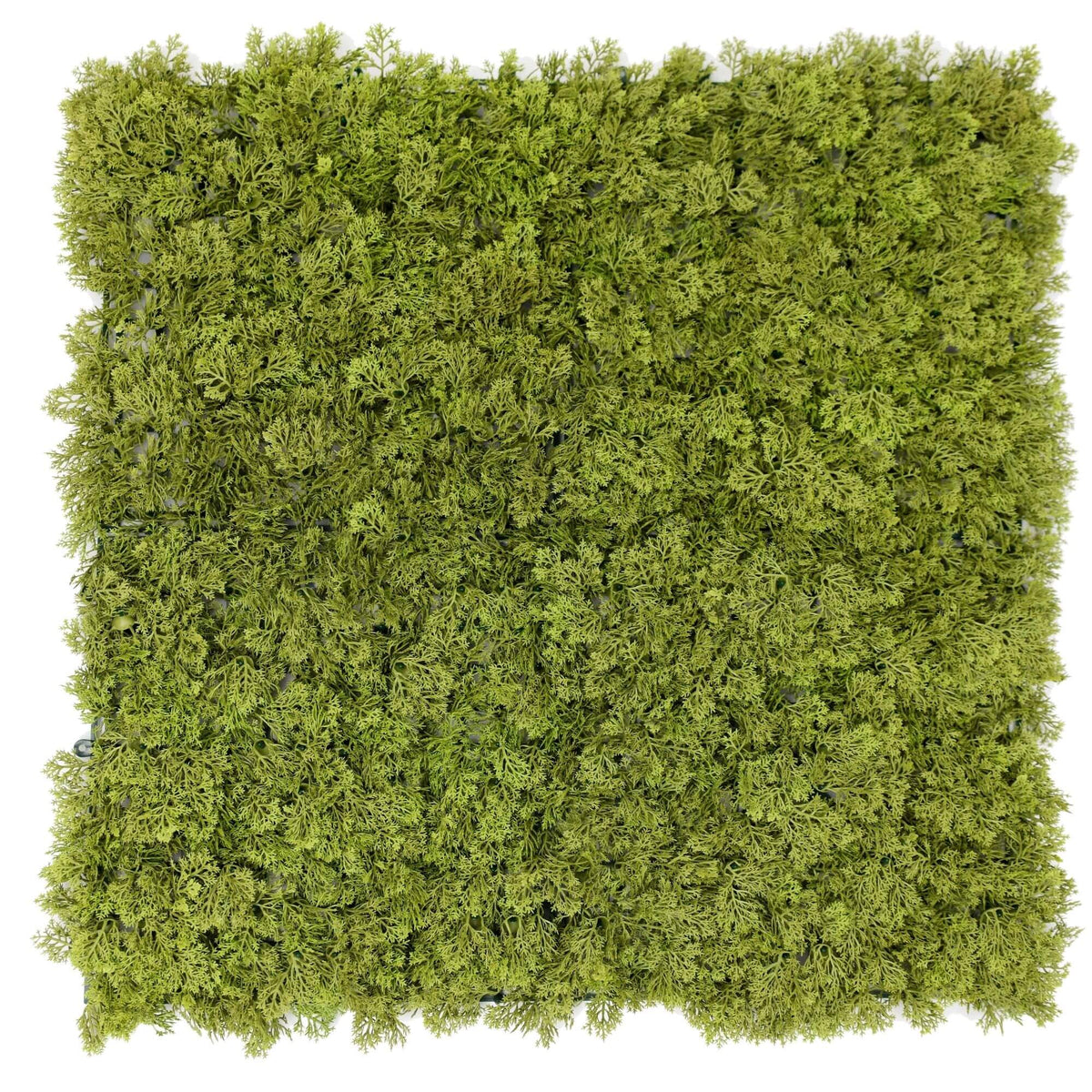 Nearly Natural Moss Panel UV Resistant 100cm x 100cm (Back Order Only) - Designer Plants