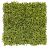 Nearly Natural Moss Panel UV Resistant 100cm x 100cm (Back Order Only) - Designer Plants