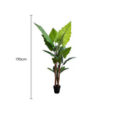 Nearly Natural Artificial Tree Taro Elephant Ear Palm 170cm