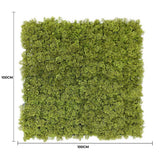 Square piece of green moss with dimensions indicated on a white background