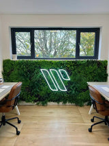 Luxury Country Fern Recycled Vertical Garden / Green Wall UV Resistant 100cm x 100cm