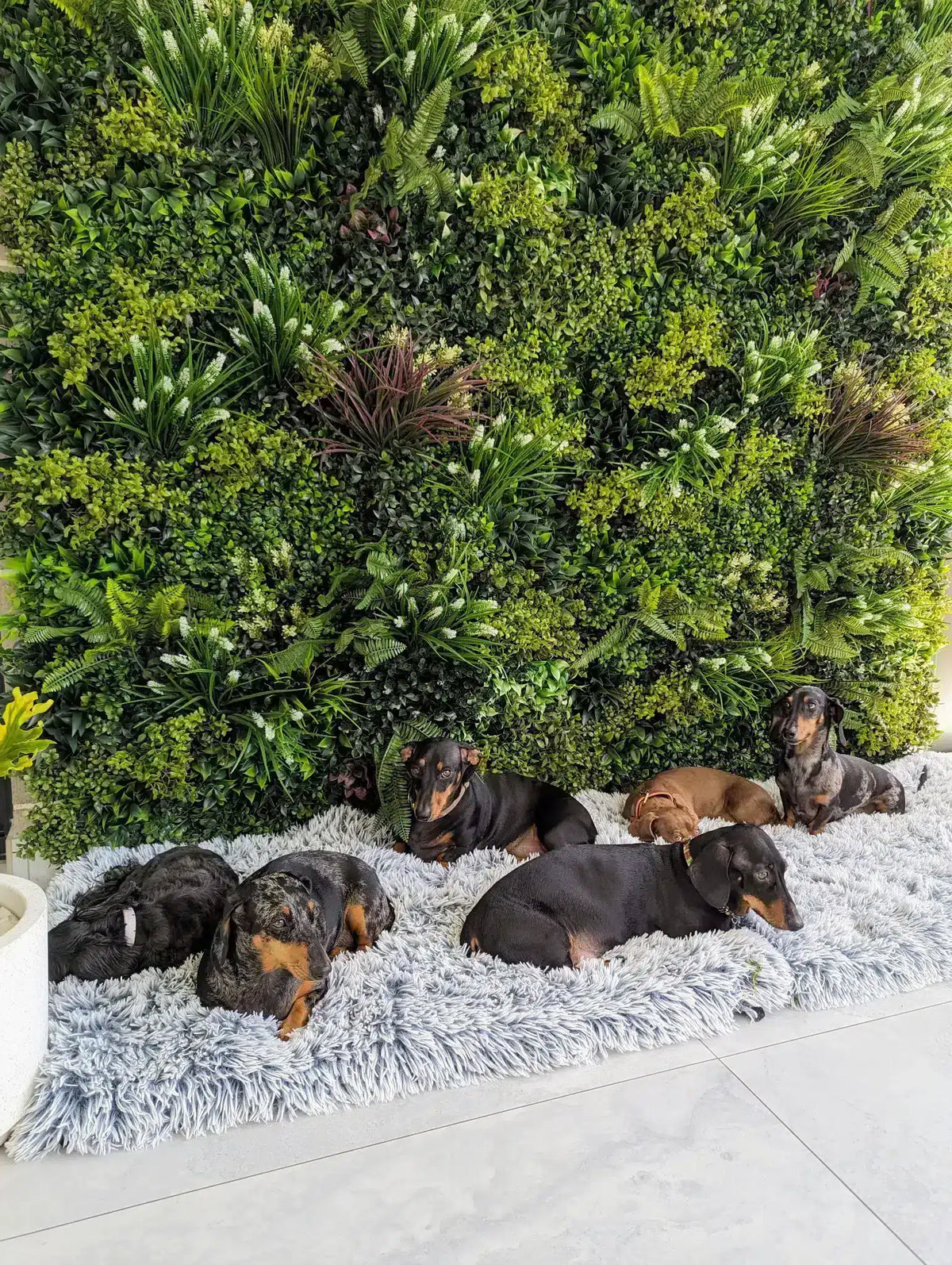 Luxury Lush Spring Recycled Vertical Garden / Green Wall UV Resistant 100cm x 100cm